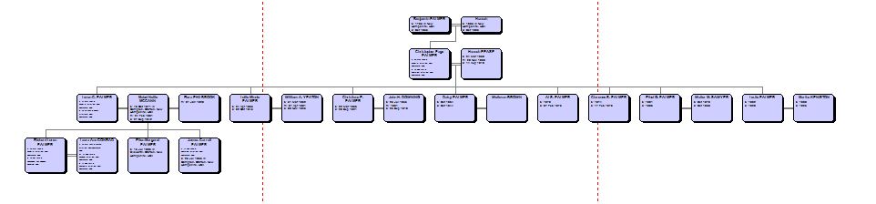 Sample tree